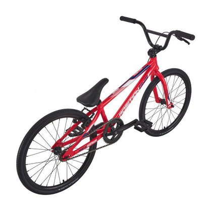Position One Expert Bike (2024)