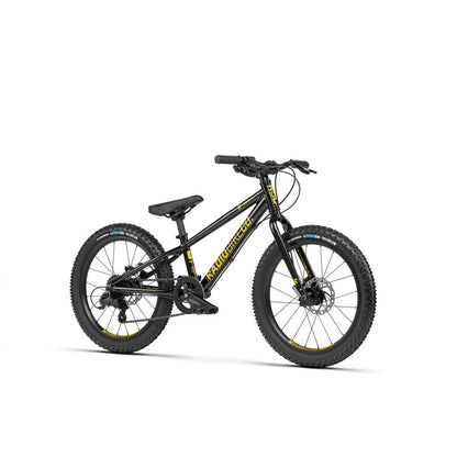 Radio 20 Inch Zuma Bike