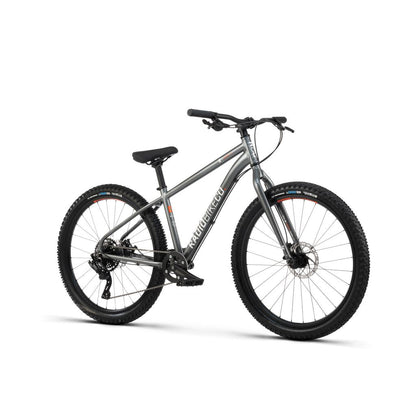 Radio 26 Inch Zuma Bike
