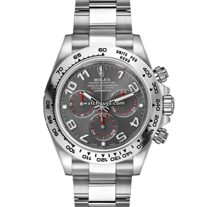 Rolex Daytona 116509 Grey Arabic