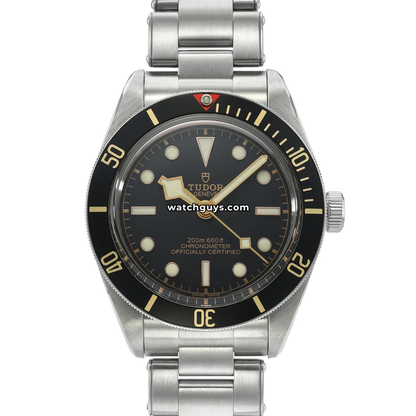Tudor Black Bay 58 79030N