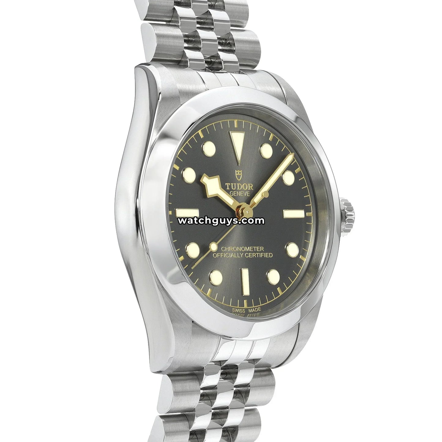 Tudor Black Bay 79660