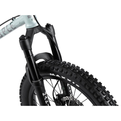 Wethepeople Swampmaster 20 Inch Bike