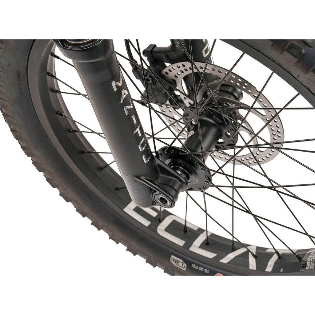 Wethepeople Swampmaster 20 Inch Bike